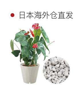 日本直邮Richell 青金石壶 20 型 深灰色