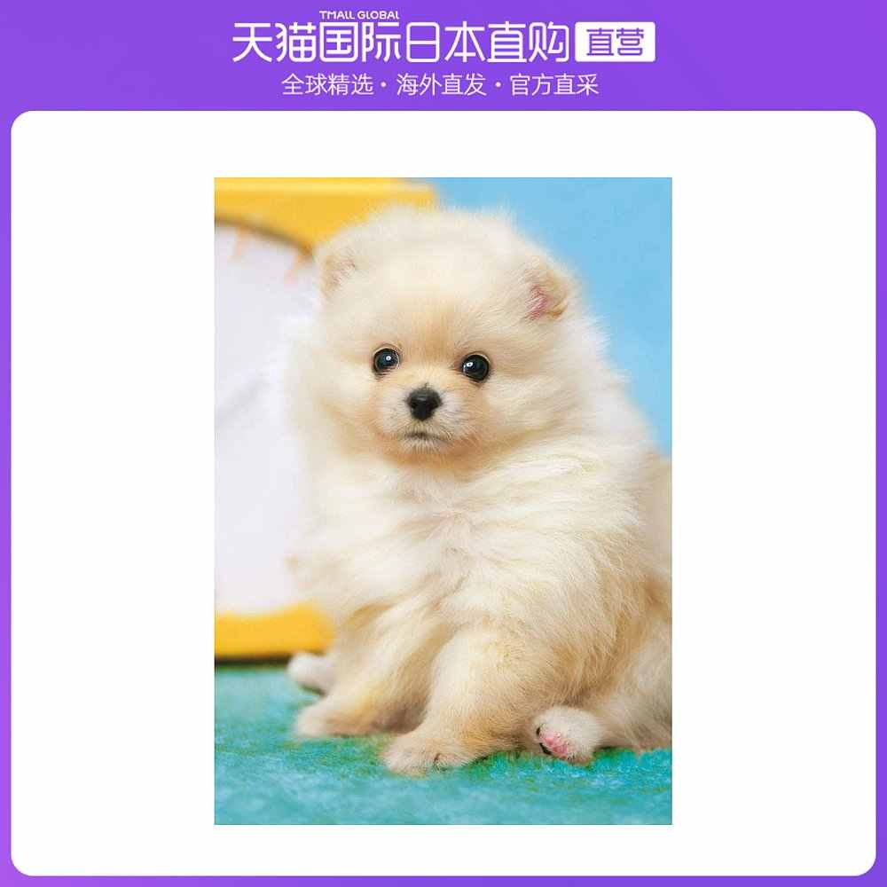 犬游戏 新人首单立减十元 21年10月 淘宝海外