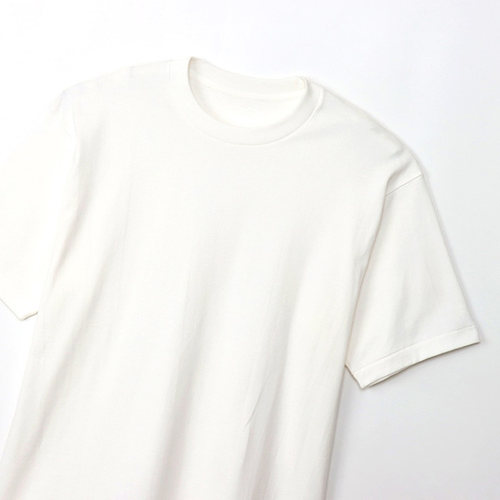日本直邮Hanes 短袖 T恤男 Hanes SHIRO Pack T 1 件 1P 纯色圆领 - 图3