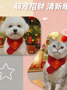 猫咪狗狗宠物新年围巾可爱