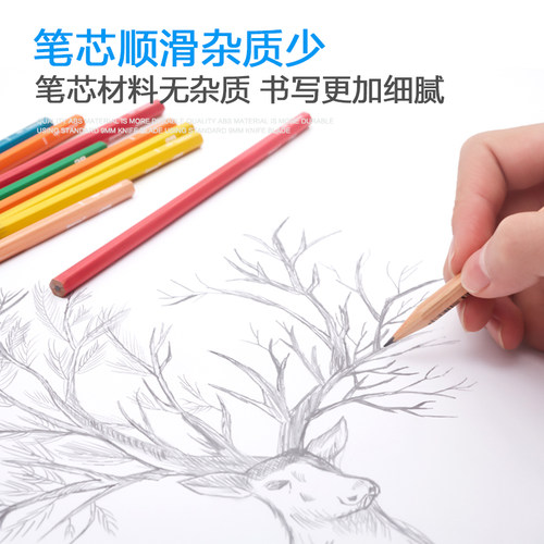12支盒装包邮日本tombow蜻蜓IPPO小学生用铅笔六角杆木头进口铅笔HB/2B木杆绘图素描2比铅笔考试专用卡通图案 - 图1