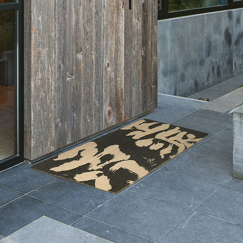 艺术家朱敬一×字说 原创大门入户门口脚垫门垫进门家用丝圈地垫,淘宝优惠券,粉丝福利购,淘宝优惠卷