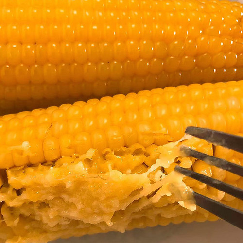 臻淳粮甜纯糯玉米臻淳粮甜新鲜粘苞米东北黑龙江非转基因小粒黄黏 - 图3