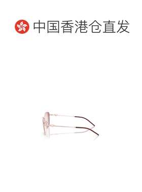 Emporio Armani 全框太阳镜 EA2170