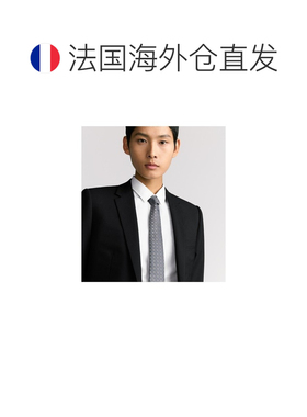 自营 欧洲直邮Dior 迪奥 男士灰色真丝领带 【付后1h可退】