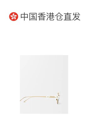 香港直邮Loewe Daisy Field太阳镜 G314FRLX04罗意威