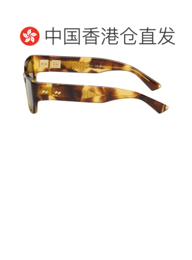 香港直邮Bottega Veneta 葆蝶家 男士 棕色 Intrecciato Square