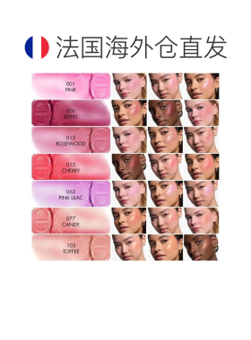 欧洲直邮Dior迪奥全新后台彩妆瑰色蕴采腮红棒 6g 12h持妆水正品