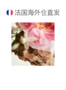 欧洲直邮CHLOE蔻依绿漾玫瑰 EDP浓香香水100ml正品