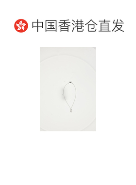 香港直邮dior 迪奥 桀傲 男士 圆章项链 N3861HOMMT000