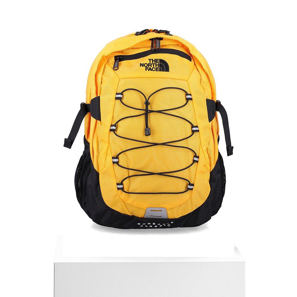 欧洲直邮THE NORTH FACE 男士双肩包NF00CF9C4WP1北面 - 图3