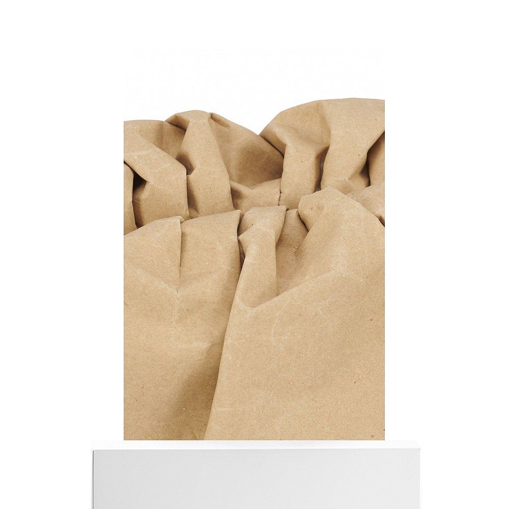 自营欧洲直邮BOTTEGA VENETA葆蝶家 The Pouch Paper 手袋 - 图3