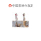 ເມລໂດຍກົງຈາກຮ່ອງກົງ Zimmermann ພິມຊຸດ bikini 3874WSS251