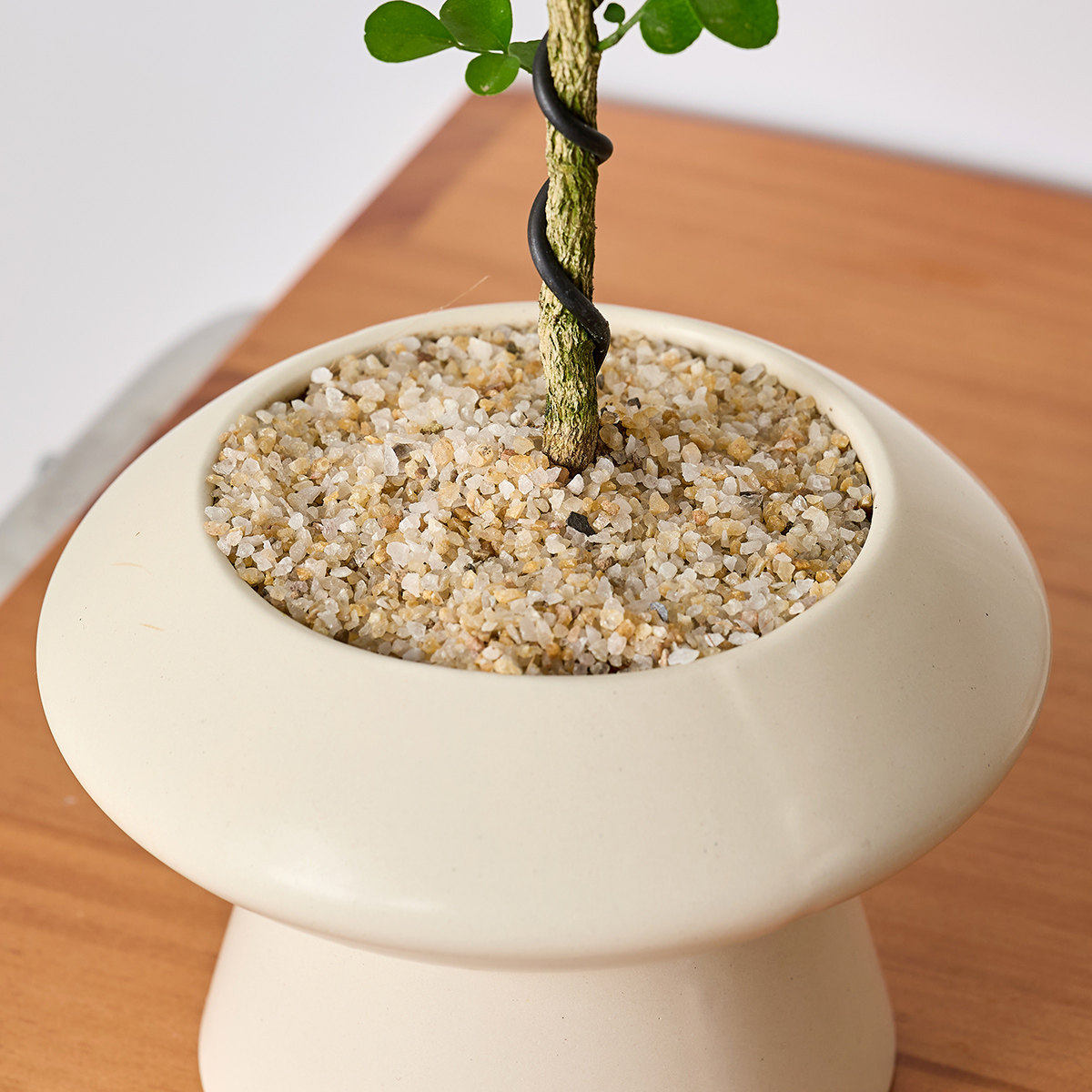 文人九里香盆栽绿植室内办公室客厅好养活四季植物七里香老桩盆景,淘宝优惠券,粉丝福利购,淘宝优惠卷