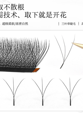 吻之睫三叶草嫁接专用芭比婴儿