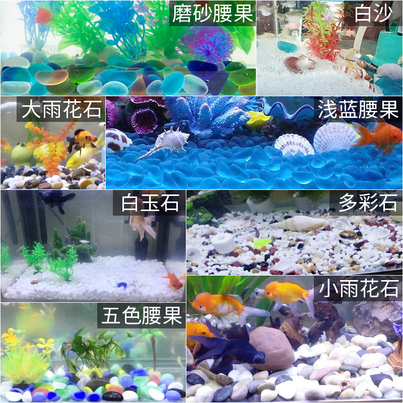 鱼缸造景底砂底沙装饰摆件白沙天然彩色石头白石子水族箱沙子配件 - 图0