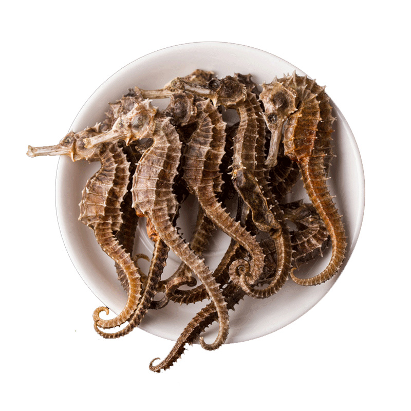 海马干货大海马三斑海马公母配对中药饮片泡酒高档送礼