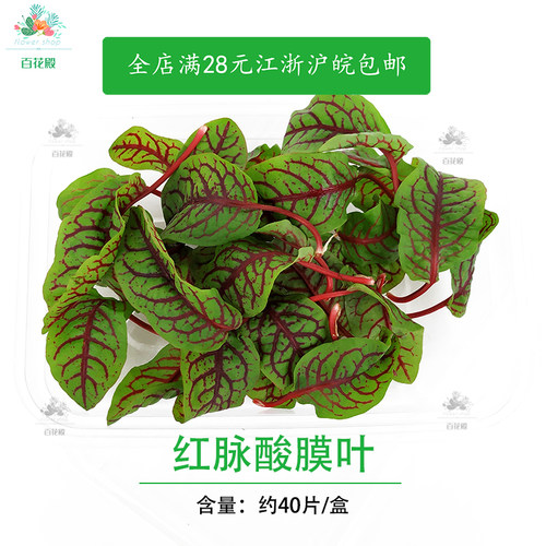新鲜 红脉酸膜酸模叶酢浆草食用花酒店摆盘装饰红酸模草 - 图1