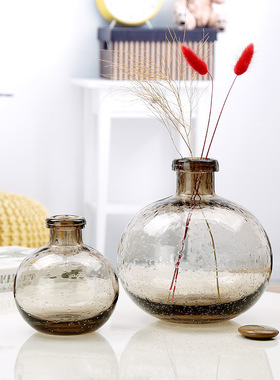 复古装饰咖啡色调创意玻璃花瓶摆件透明水培容器客厅插花