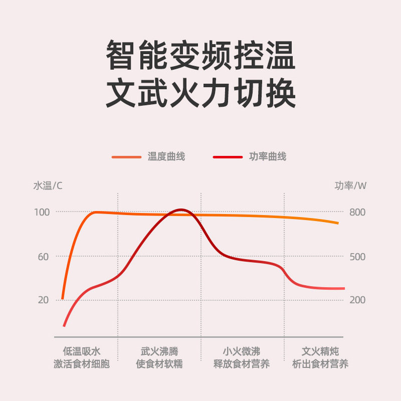  万锐养生壶/煎药壶