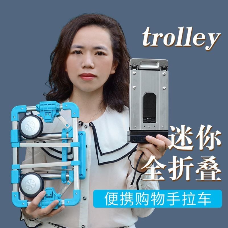 可折叠便携手拉车购物买菜迷你小拉车超小家用拉货拖车行李拉杆车,淘宝优惠券,粉丝福利购,淘宝优惠卷