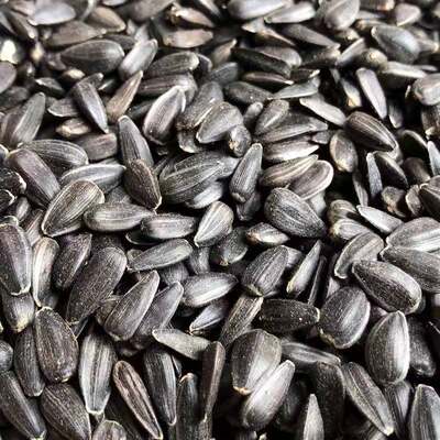 生黑珍珠小瓜子葵花子油葵籽鹦鹉鸟食仓鼠零食鸟粮鸽粮5斤包邮 虎窝淘