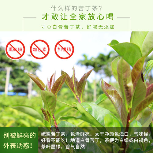 海南五指山白骨苦丁茶特级两罐装共150g正宗大叶苦丁茶2026新茶 - 图3