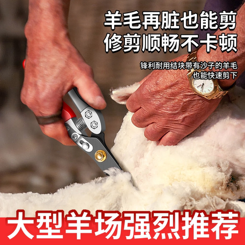 剪羊毛剪子羊毛剪刀手动绞绵羊毛专用弹簧兔狗毛大号修毛剪果枝剪 - 图2