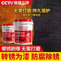 Iron Rust Conversion Agent Free Rust Color Steel Tile Remeublished Special Rust Remover Rustproof Paint Metal Anti-Corrosif Primer POLISHED