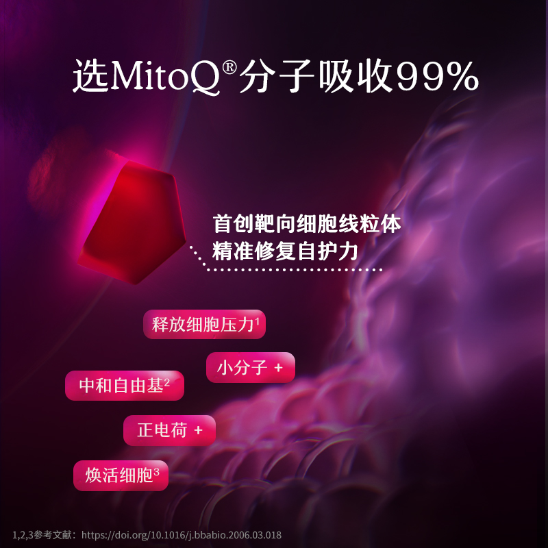 【3件巩固装】MitoQ奶蓟草胶囊加班熬夜常备Q10肝脏解酒水飞蓟-图1