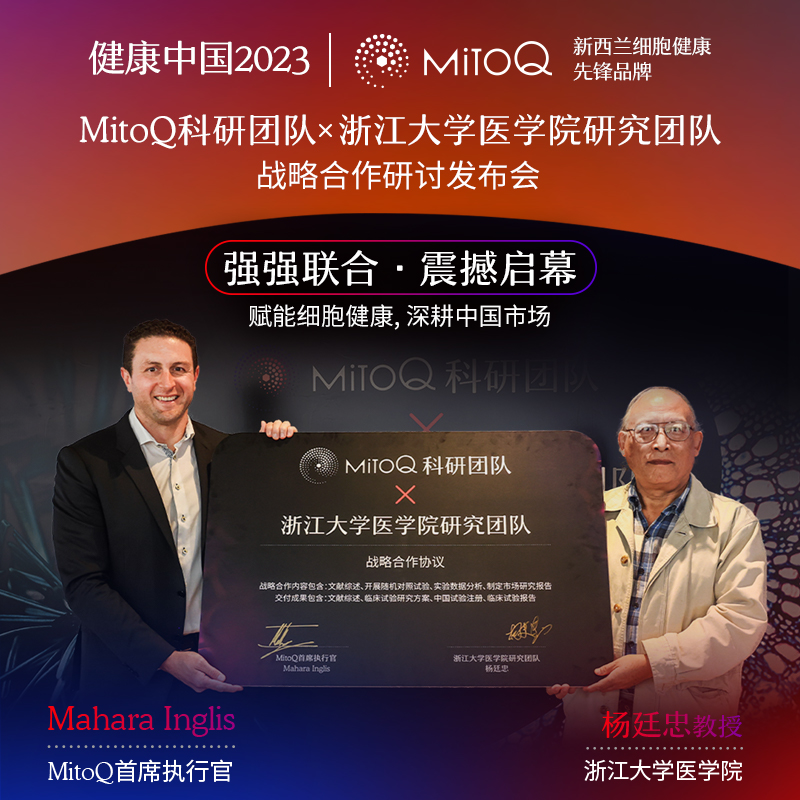 【组合装】MitoQ姜黄素奶蓟草胶囊组合熬夜加班2瓶解酒肝脏免疫