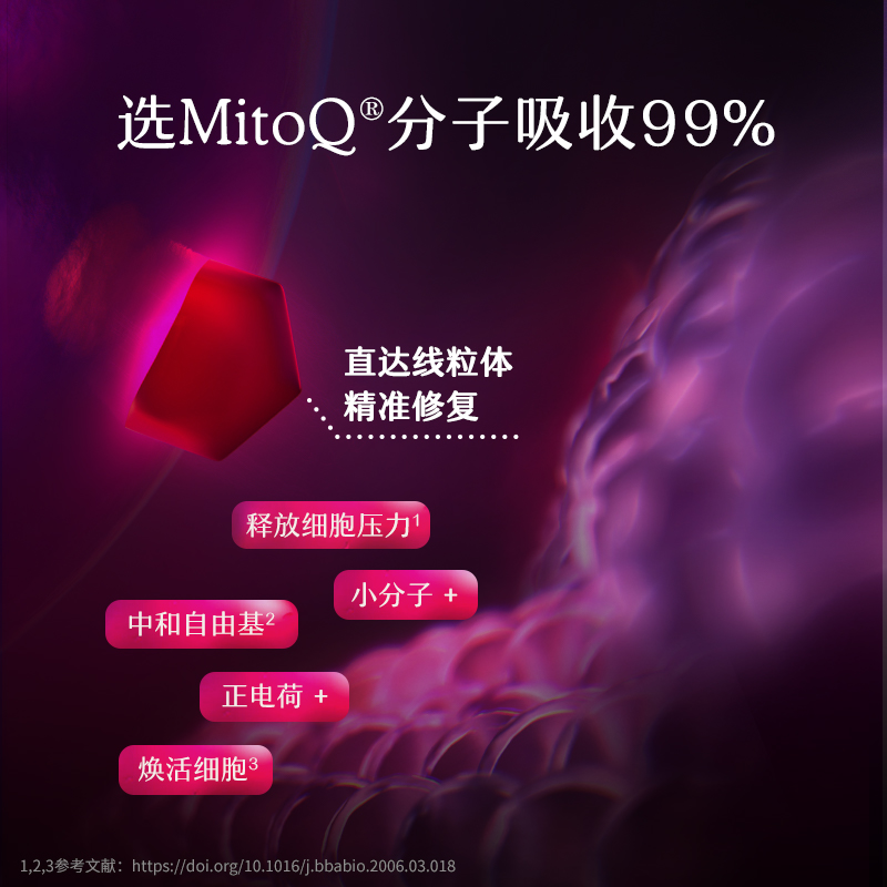 MitoQ新西兰进口经典胶囊熬夜免疫睡眠疲惫进口辅酶Q1060粒保健品-图3