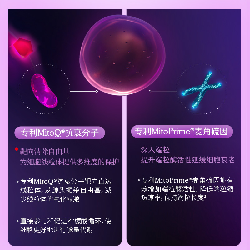 MITOQ麦角硫因御时胶囊pqq口服玻尿酸胶原蛋白肽60粒进口保健品