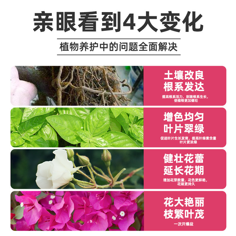 三角梅快速开花粉通用催花素茶花专用植物盆栽催花营养肥水溶肥料,淘宝优惠券,粉丝福利购,淘宝优惠卷
