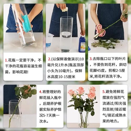进口荷兰hvb可利鲜鲜花保鲜剂家用植物营养液通用型延长花期专用 - 图2