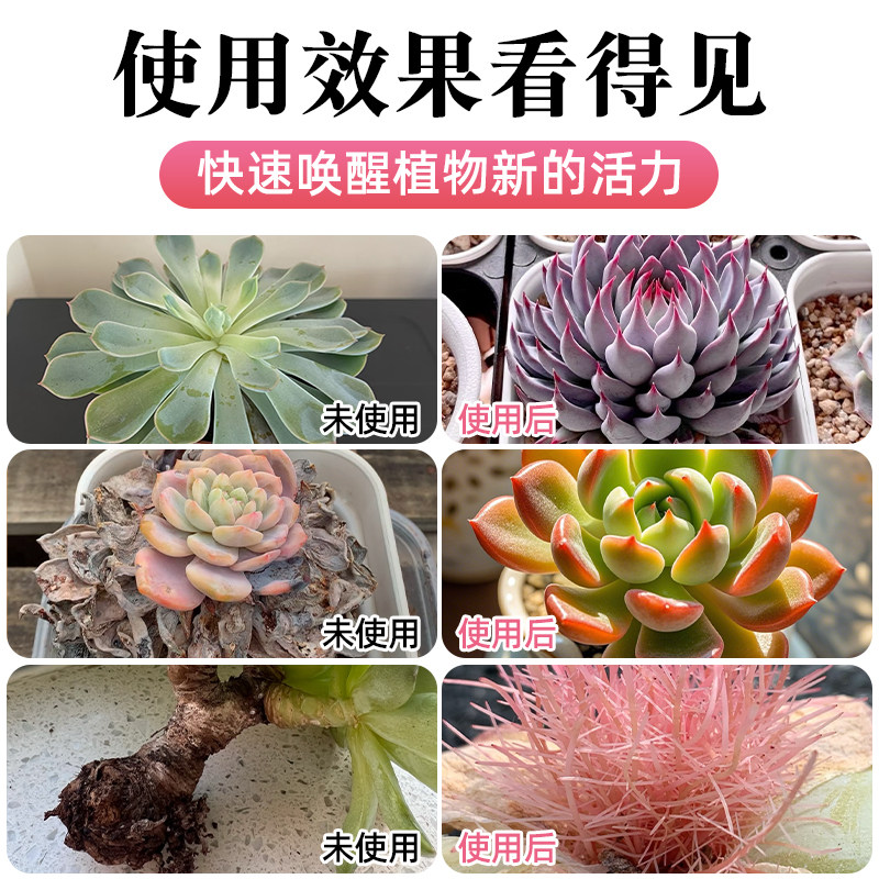 多肉营养液免稀释专用优芽素肥生根爆芽促侧芽花卉绿植通用矮胖素,淘宝优惠券,粉丝福利购,淘宝优惠卷