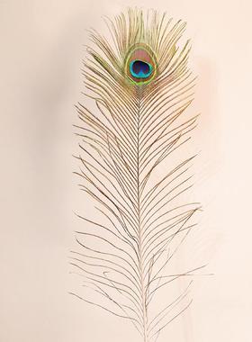 H015孔雀羽毛30支组合家用装饰工艺羽毛摆件工艺品