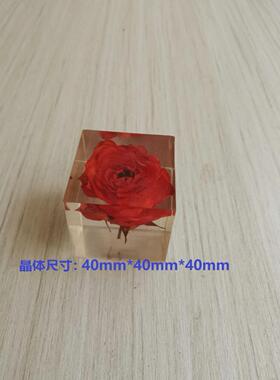 树脂永生花真花蒲公英植物方块简约现代居家书房办公室生日礼物