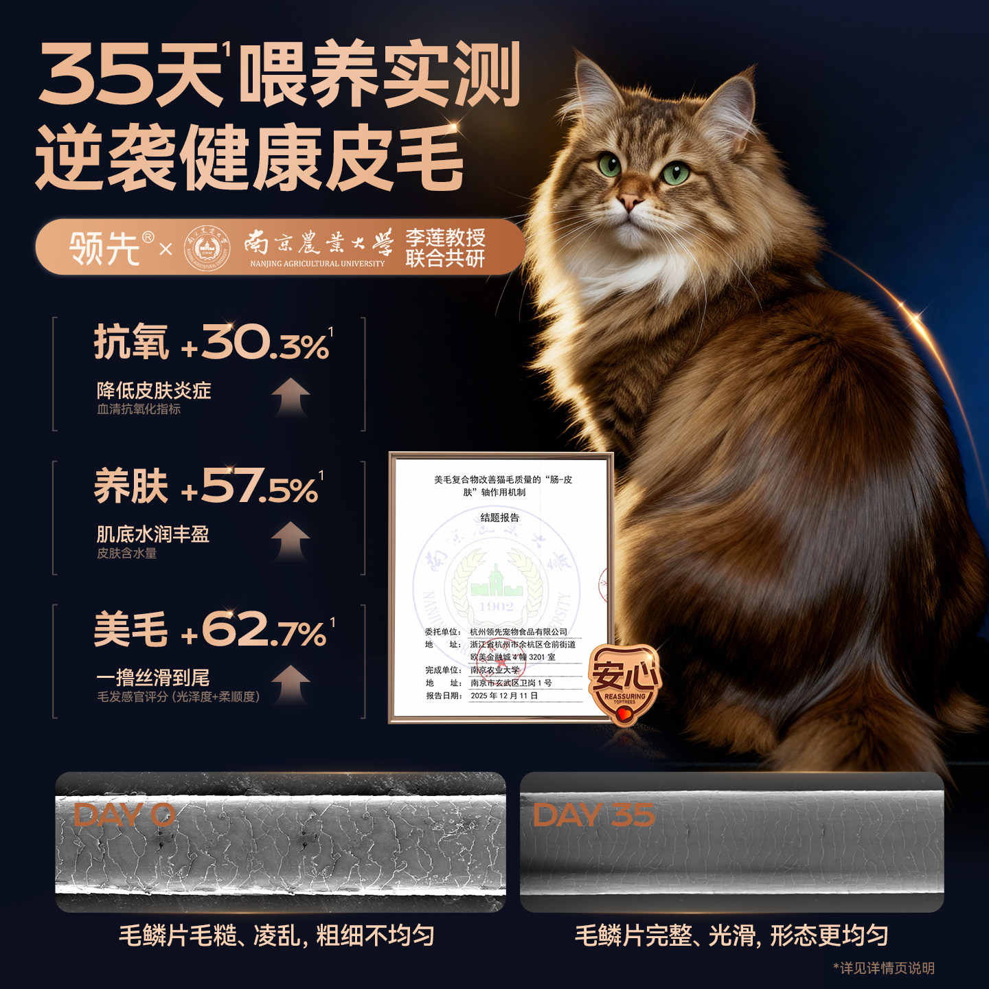 【重磅上新拍1享6】领先蓬蓬袋烘焙猫粮成猫美毛鲜肉主粮鸡肉鱼肉,淘宝优惠券,粉丝福利购,淘宝优惠卷