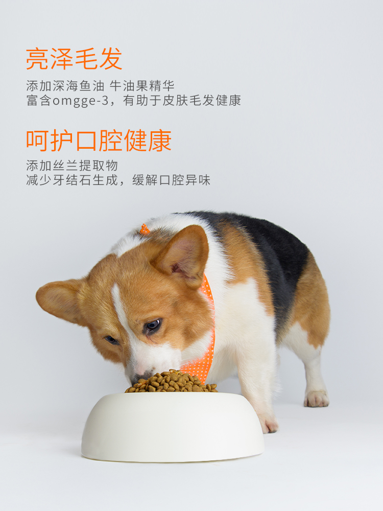 Toptrees/领先全价通用型小型犬成犬幼犬原肉狗粮泰迪柯基5.4kg - 图2