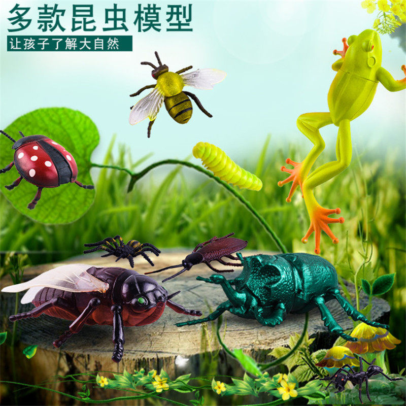 昆虫软塑胶仿真动物套装模型玩具 云星玩具仿真/动物玩偶