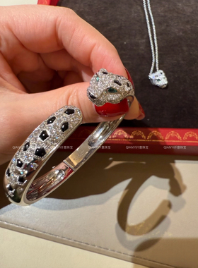 QIANYI仟意珠宝【定制系列】满天星斑点爆闪金钱猎豹白富美项链