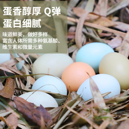 怡博士新鲜土鸡蛋正宗农家散养新鲜鸡蛋柴鸡蛋草鸡蛋笨鸡蛋乌鸡蛋-图0