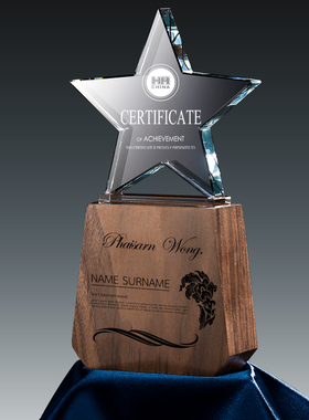 五角星奖杯定制木质水牌定做实木授权牌企业优秀员工颁奖刻字