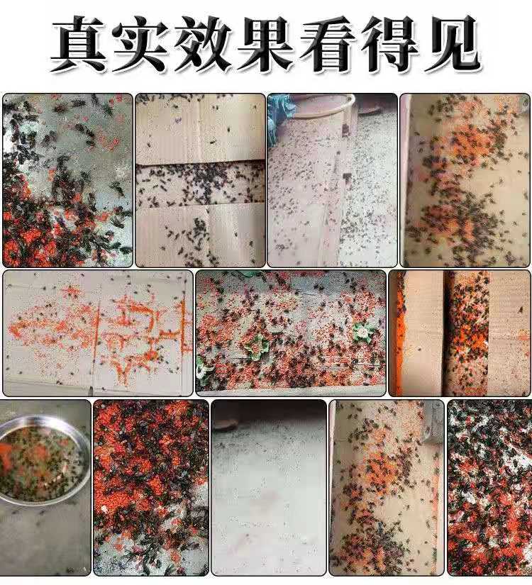 灭霸杀苍蝇饵剂药粉养殖场畜牧长效无味家用灭蝇子诱饵神器一扫光 - 图1