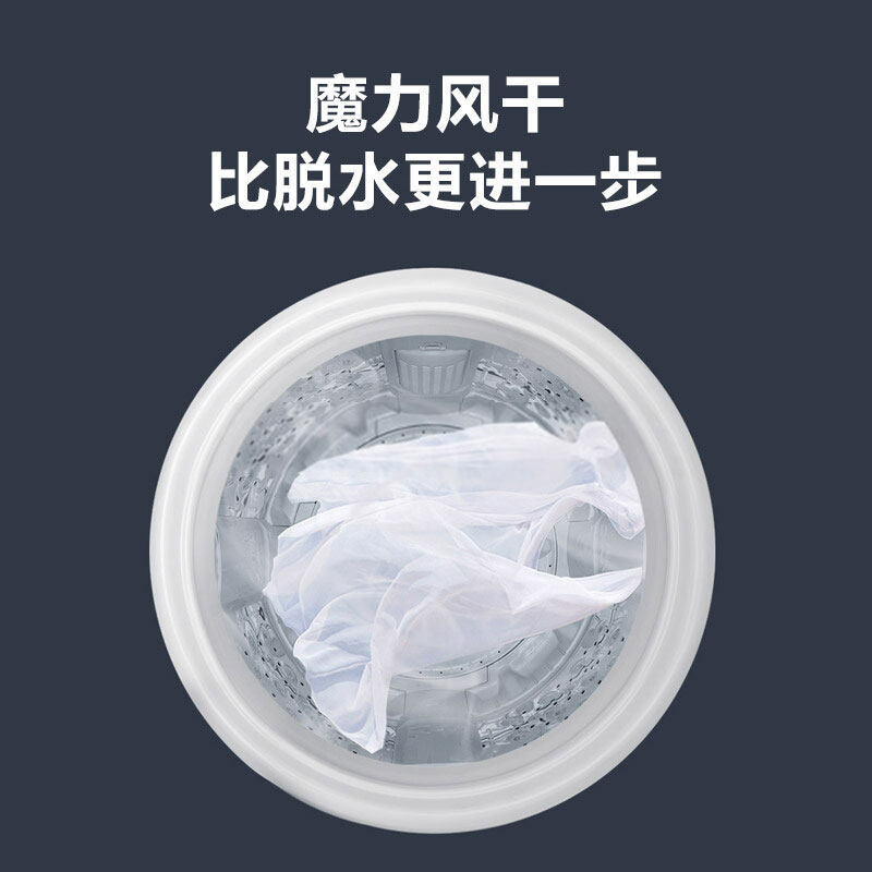 小天鹅5.5公斤kg洗衣机一人用波轮 泰达电器洗衣机
