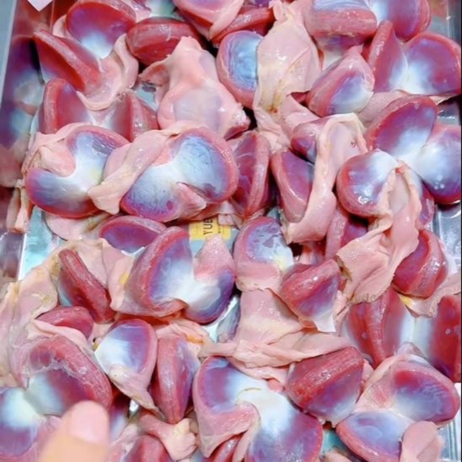 Fresh goose gizzards without ice coating Large goose gizzards