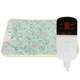 Winter pet electric blanket constant temperature heating pad