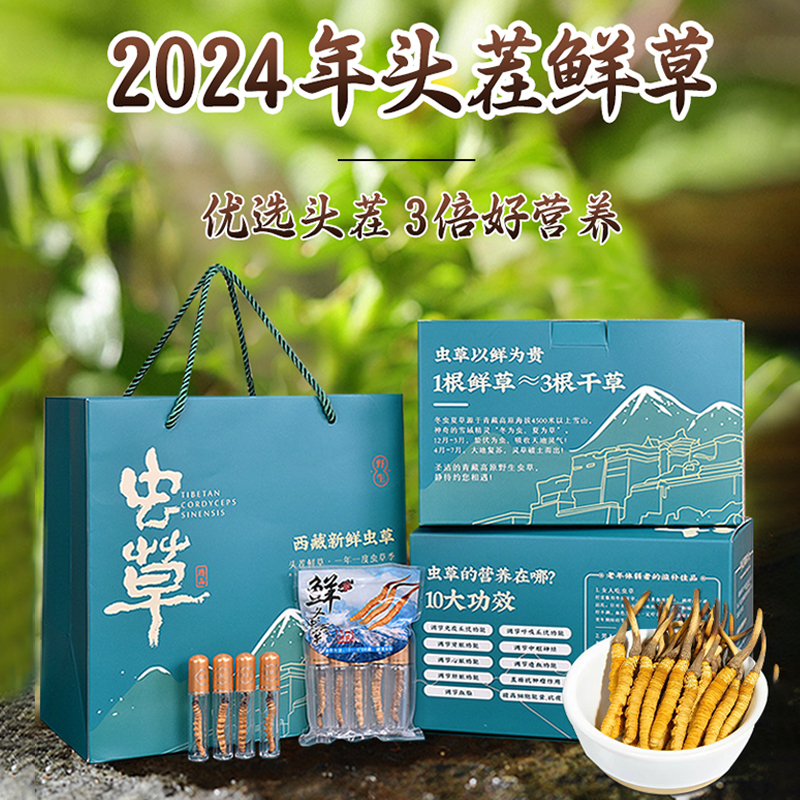 【回头客多】新鲜冬虫夏草2024西藏官方旗舰店中药鲜草营养滋补品