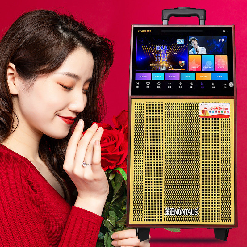 金正家庭ktv套装全套点歌机音响 金正花声KTV/卡拉OK音箱